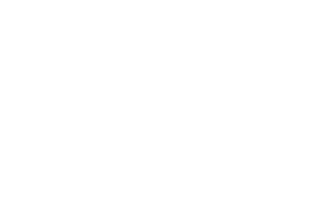 pulse logo w